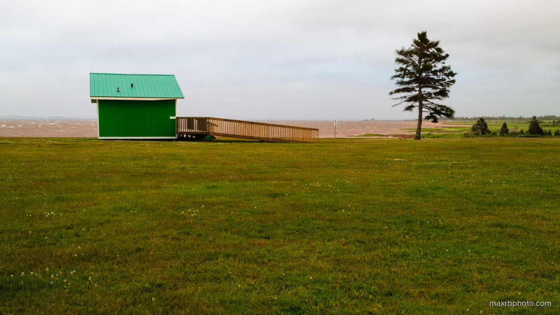 A windy evening in Belmont Provincial Park