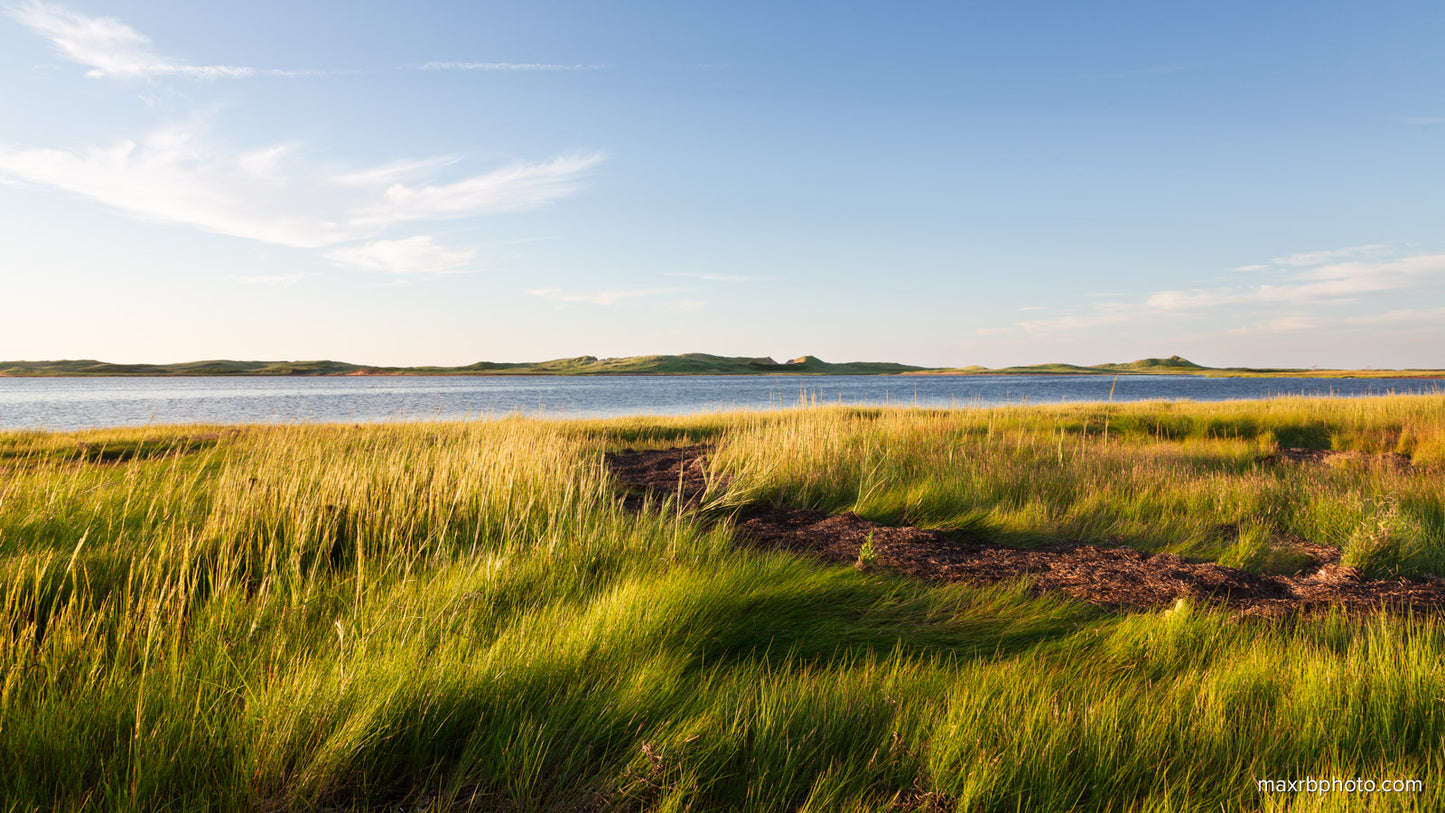 Behind the Dunes