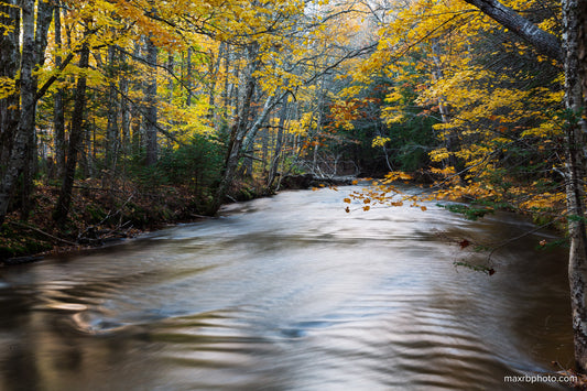 Ripples in the River