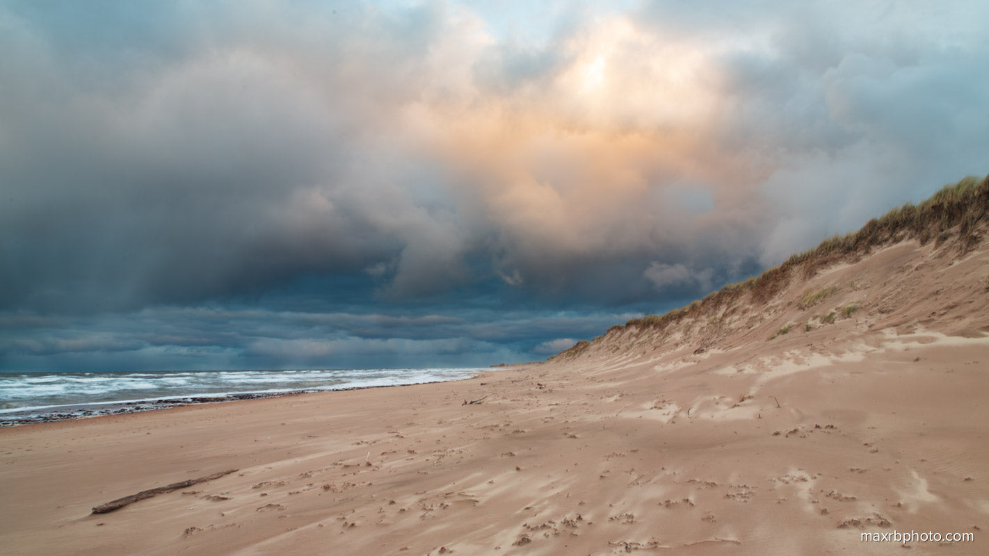 Windswept Sands