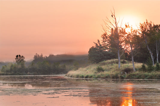 Sunrise by the pond