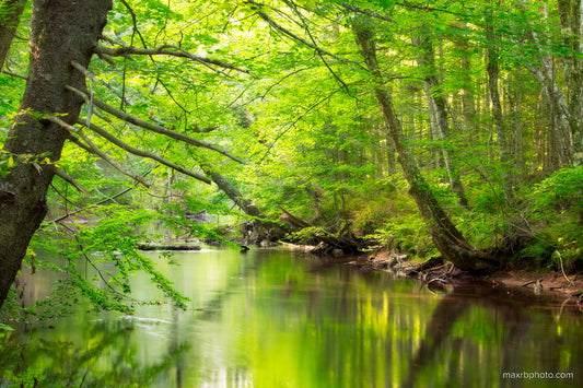 Reaching across the banks