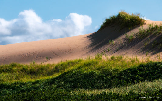 Dune Home