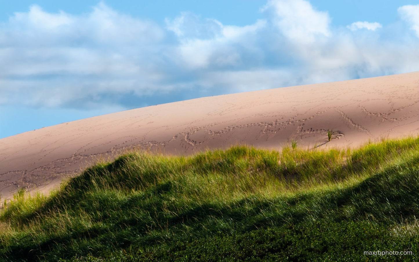 Dune Tracks